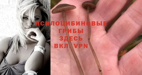 соль курить ск Вязьма